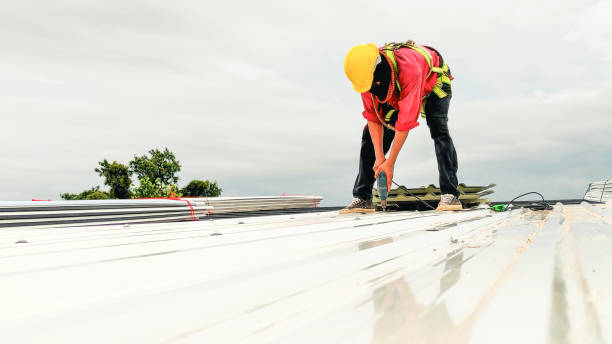 Best Steel Roofing  in Tigerville, SC