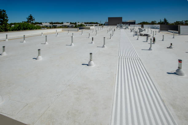Best Roof Maintenance and Cleaning  in Tigerville, SC